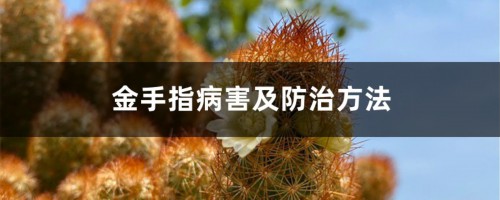 金手指病害及防治方法